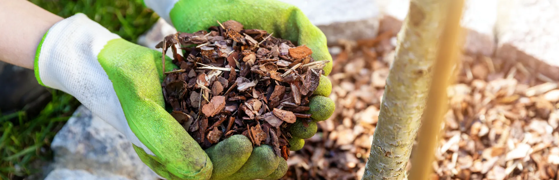 breadcrumb hero Tree Mulching & Soil Care