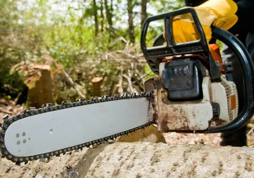 A person wearing yellow work gloves uses a chainsaw to cut a log outdoors, surrounded by trees and brush.